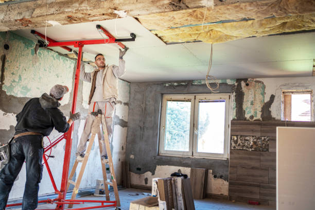 Best Insulation Materials and Products in Lathrop, MO