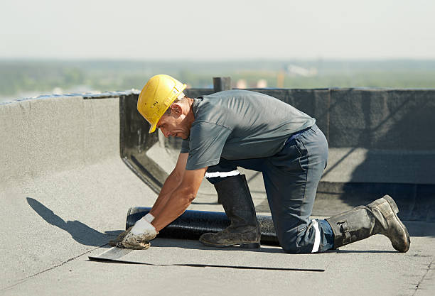 Best Commercial Insulation in Lathrop, MO